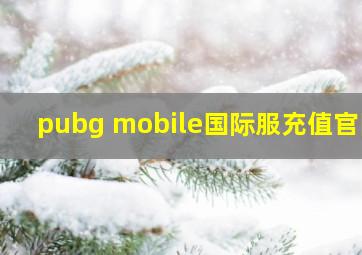 pubg mobile国际服充值官网